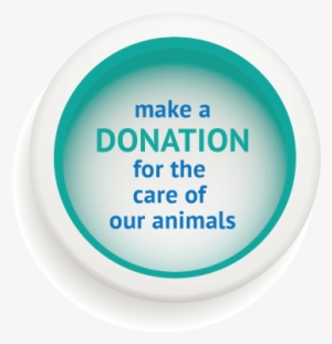 General-donation - Isola Di San Michele #1754326