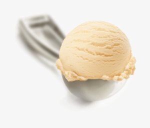 Homemade Vanilla - Scoop Vanilla Ice Cream #1754522 Homemade Vanilla - Scoop Vanilla Ice Cream #1754522