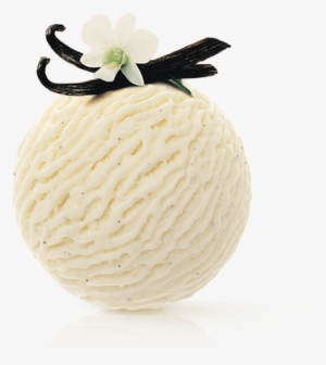 Vanilla Dream - Movenpick Vanilla Dream Ice Cream #1754549