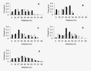 Potential White Bars And Pollinating Black Male - Bar #1755381