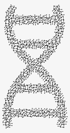 Molecular Biology Molecular Models Of Dna Molecule - Molecular Dna #1755712
