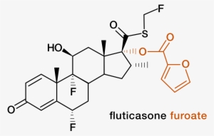 The Molecule - Mesylate Dexamethasone #1756589