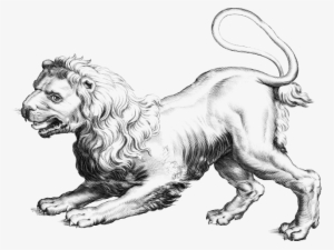 Leo Png Transparent Images - Icanvas Astronomy And Space 'leo (lion)' Painting Print #1756709