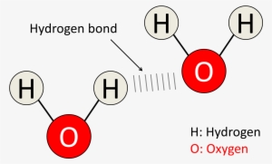Molecule #1756851