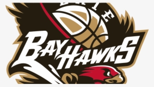 The Erie Bayhawks, Nba G League Affiliate Of The Hawks, - Erie Bayhawks Logo #1757393
