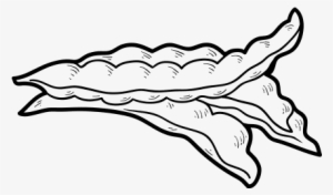Clipart Freeuse Download Drawing At Getdrawings Com - Beans Coloring Png #1758908