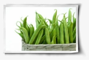 Greenbeansibasket - Bean #1758952