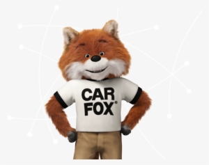 Carfax® Car Fox Advertising Photo - Fox From Carfax #1758976