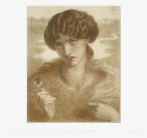 Water Willow, Study Of Female Head And Shoulders By - Water Willow - Study Of Female Head And Shoulders #1759662