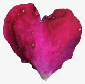 Flowers Or Foliage Beautifully Presented And Arranged - Design #1759971