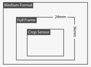 Same Amount Of Light, The Crop Body Sensor Cuts The - Aspect Ratio #1760193