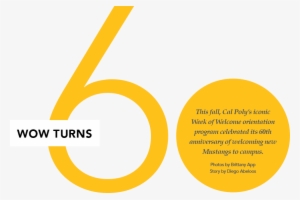 Hundreds Of Wowies Gathered At The Sports Complex For - Circle #1760301