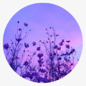 Aesthetic Circle Icon Purple Flowers Flower Purpleaesth - Tide Lyrics Niall Horan #1760759