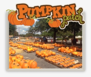 Pumpkin #1761084
