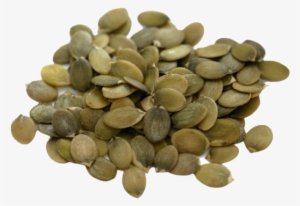 Allpng001 Load20180523 Transparent Png Sticker - Pumpkin Seeds Good #1761696