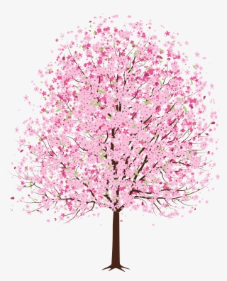 Pin Spring Clipart Png - Japanese Cherry Blossom Tree Transparent #1764021
