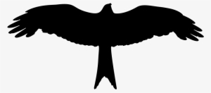 Eagle Silhouette #1764207