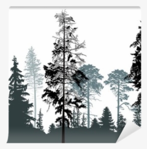 Download Forest Silhouette Png Transparent Forest Silhouette Png Image Free Download Pngkey