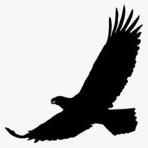Art Black Eagle Transprent Png Free Download - Aquila #1764565