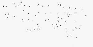 Bird Silhouettes By Frankandcarystock - Flock #1766086 Bird Silhouettes By Frankandcarystock - Flock #1766086