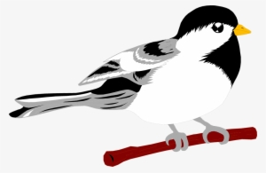 Free Stock Photos - Clip Art #1766630