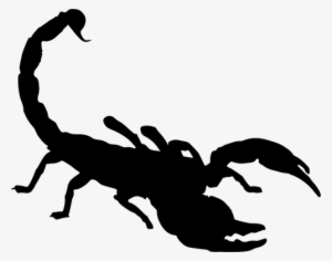 Clip Art Free Public Domain Vectors - Scorpion Clipart #1767320