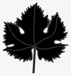 Wine Grapes Silhouette At Getdrawings - Vine Leaf Free Vector #1767831