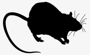 Rat Black Silhouette - Мышь Вектор #1767897
