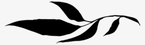 Free Png Leaf Silhouette Png Images Transparent - Leaf Silhouette Png #1768143