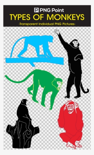 Silhouettes Images, Icons And Clip Arts Of Variety - Illustration #1768318