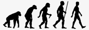 Anthropology - Evolution Of Fat People #1768986
