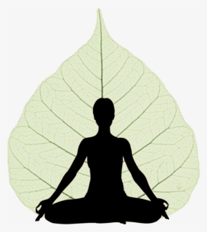 Beleaf Yoga Studio #1769142