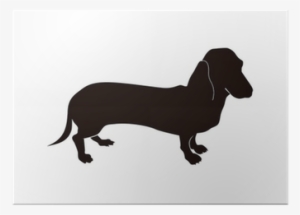 Person Your Rat Thinks You #1769771