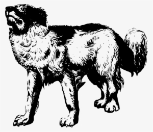 Chihuahua Scottish Terrier Puppy Dachshund Cat - Dog 7 (color: Royal Blue, Fit Type: Women, Size: 3xl) #1770273