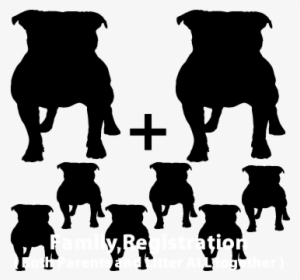 Family Online Registration - Ancient Dog Breeds #1770452