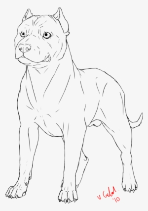 Pit Bull Lineart By Prinzeburnzo - Pitbull Anthro Lineart #1770659