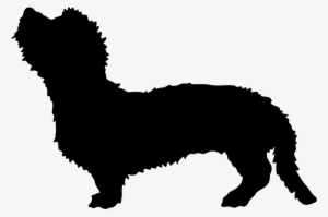 Tell A Friend - Companion Dog #1770694