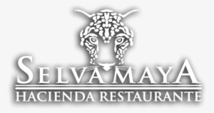 Hotel El Mesón Del Marqués - Nombres De Restaurantes Mayas #1777464