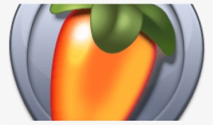 Macro Photography #1777921