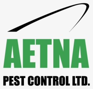 416 469 4111 - Aetna Pest Control #1778549