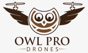 Owl Pro Drones #1779165