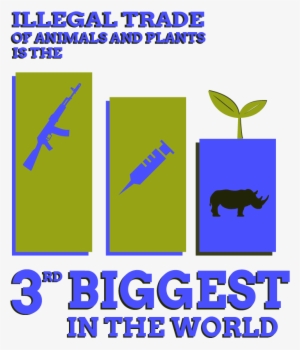 Dataviz Biodiversite English 08 1 - Poster #1779338
