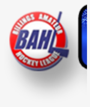 Usa Hockey - Campaign - Label #1779501