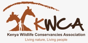 About Us - Amendment #1782221