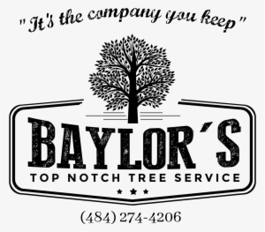 Baylor's Top Notch Tree Service Is A Locally Owned - Black And White Tree Canvas Print - Small #1782754 Baylor's Top Notch Tree Service Is A Locally Owned - Black And White Tree Canvas Print - Small #1782754