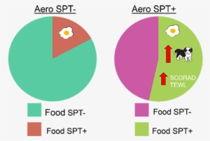 M-paach Discoveries - - Discovery #1783229