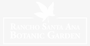 Awards - Graphic Design #1784603