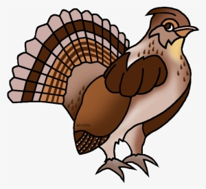 Free United States Clip Art By Phillip Martin, Pennsylvania - Pennsylvania State Bird Ruffed Grouse #1785993