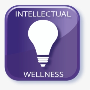 As Lifetime Learners, Our Intellect Is Fed By An Openness - Welcome To St Tropez Album #1786966