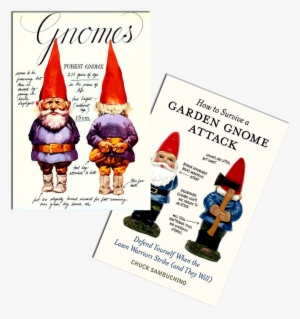 “has A Senostatic, Rather Than A Senolytic - Gnomes Wil Huygen #1787599